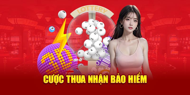 Cược thua nhận bảo hiểm