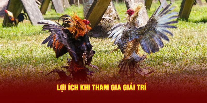 Lợi ích khi tham gia giải trí