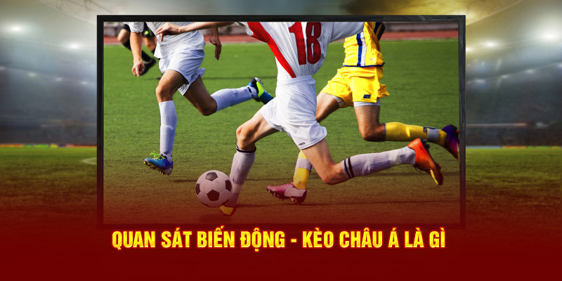 Quan sát biến động - Kèo Châu Á là gì