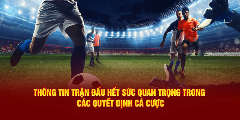 Thông tin quan trọng trong các quyết định cá cược